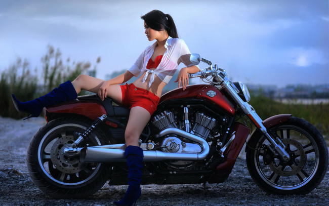 Обои картинки фото мотоциклы, мото, девушкой, harley, davidson