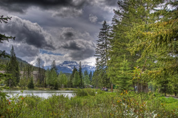 Картинка banff national park canada природа пейзажи лес озеро