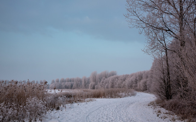 Обои картинки фото природа, зима, пейзаж