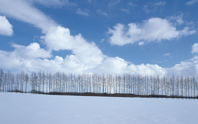 Обои картинки фото природа, зима, снег, деревья, облака