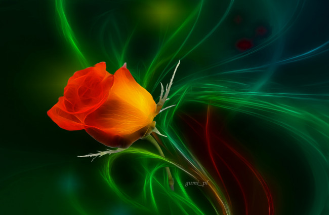 Обои картинки фото 3д, графика, flowers, цветы, фон, роза
