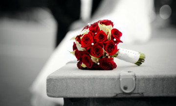 Картинка цветы букеты +композиции букет невесты каллы розы красный белый