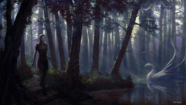 Обои картинки фото фэнтези, эльфы, птица, тропинка, свет, озеро, деревья, эльф