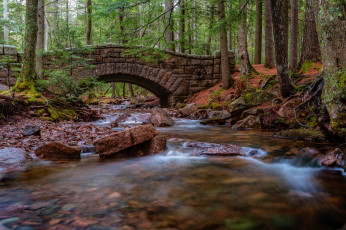 Картинка природа реки озера лес река мост арка