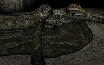 Картинка 3д+графика животные+ animals змея