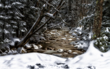 Картинка природа реки озера снег деревья ручей new hampshire