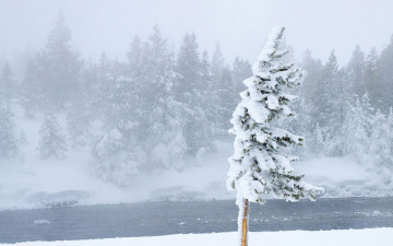 Картинка природа зима снег река деревья метель