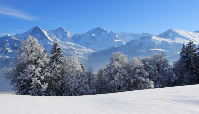 Обои картинки фото природа, зима, горы, ели, снег
