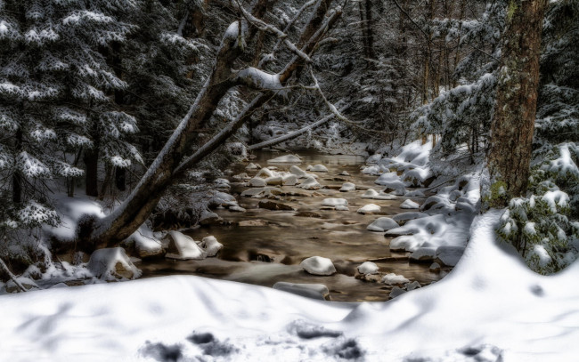 Обои картинки фото природа, реки, озера, снег, деревья, ручей, new, hampshire