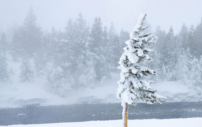 Обои картинки фото природа, зима, снег, река, деревья, метель