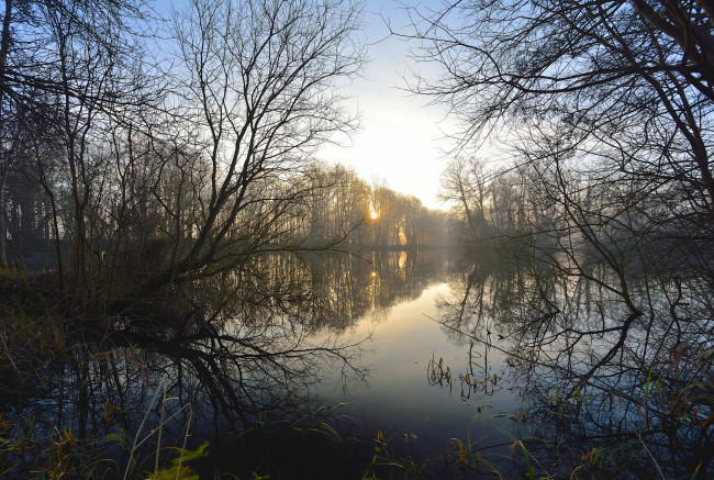 Обои картинки фото природа, реки, озера, утро, деревья, небо, озеро, туман, солнце