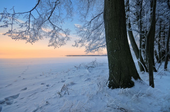 Картинка природа зима сугробы деревья снег закат