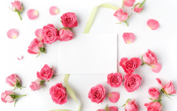 Картинка цветы розы лента бумага бутоны