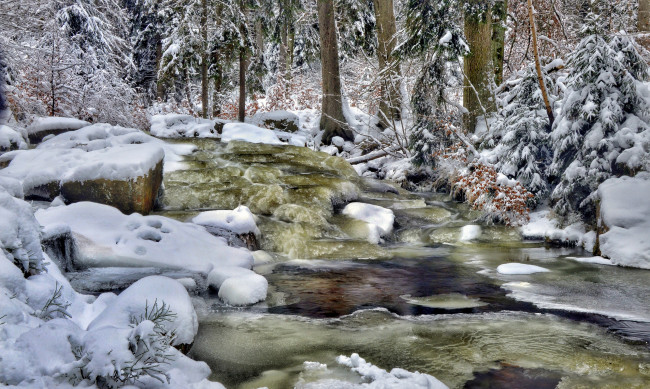 Обои картинки фото природа, реки, озера, камни, деревья, снег, поток