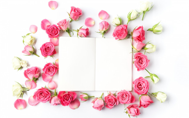 Обои картинки фото цветы, розы, бутоны, бумага