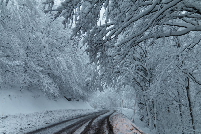 Обои картинки фото природа, дороги, деревья, дорога, снег, зима, лес
