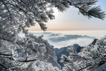 Картинка природа зима горы хуаншань китай сосны иней china huangshan mountains ветки