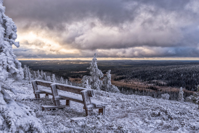 Обои картинки фото природа, пейзажи, finland, зима, posio, финляндия