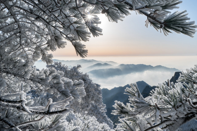 Обои картинки фото природа, зима, горы, хуаншань, китай, сосны, иней, china, huangshan, mountains, ветки