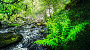 Картинка aber+falls wales природа водопады aber falls