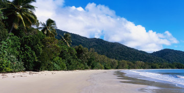 Картинка природа тропики море пальмы берег