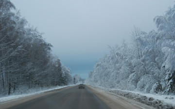 Картинка природа дороги деревья зима