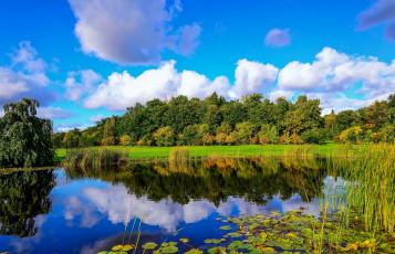 Картинка природа реки озера finland облака камыш пруд лес финляндия отражение