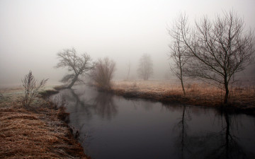 Картинка природа реки озера туман трава деревья река осень