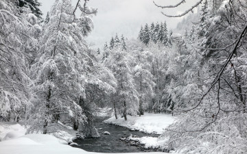 Картинка природа реки озера зима лес река пейзаж