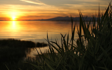 Картинка природа восходы закаты заходящее солнце озеро осока