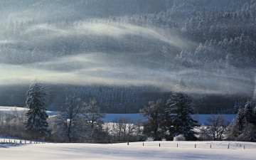 Картинка природа зима поле лес туман