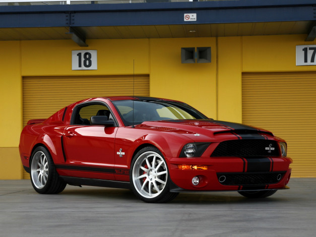 Обои картинки фото ford, mustang, shelby, gt500, super, snake, 2013, автомобили