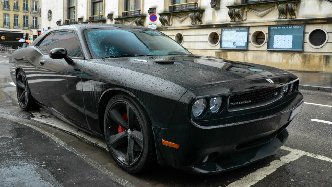 Обои картинки фото автомобили, выставки, уличные, фото, dodge, challenger, srt8