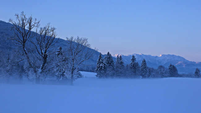 Обои картинки фото природа, зима, горы, туман, деревья