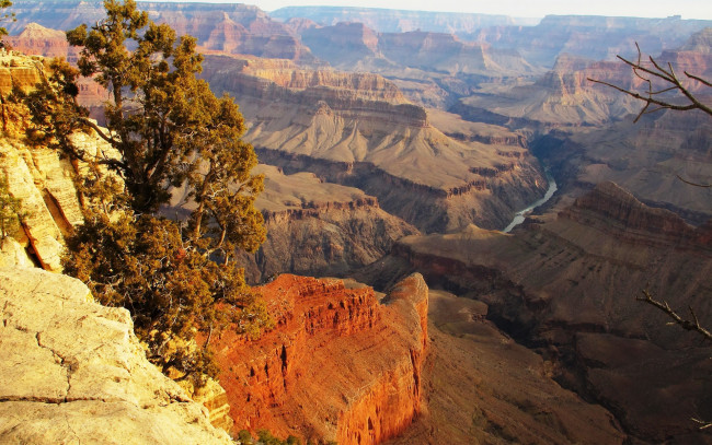 Обои картинки фото canyon, природа, горы, каньон, дерево, река