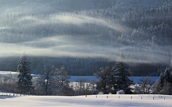 Обои картинки фото природа, зима, поле, лес, туман