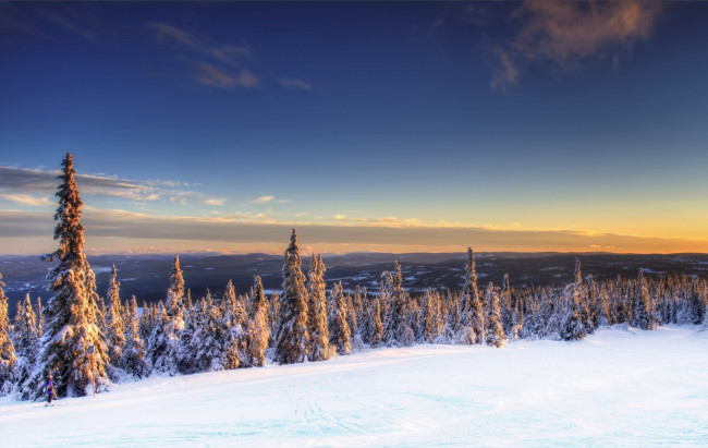 Обои картинки фото norway, природа, зима, норвегия, ели, снег