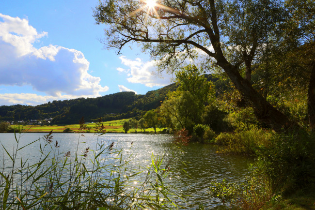 Обои картинки фото германия, мерфельд, природа, реки, озера, река, парк
