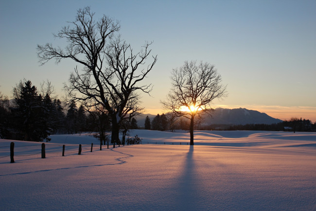 Обои картинки фото природа, восходы, закаты, закат, зима, поле, небо
