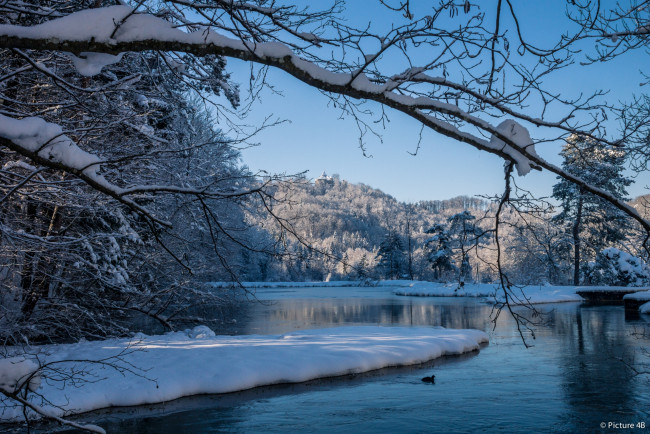 Обои картинки фото природа, зима, снег, деревья, вода