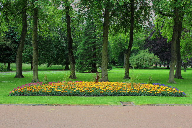 Обои картинки фото ropner, park, графство, дарем, англия, природа, парк, деревья, клумба, цветы