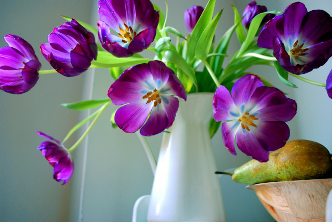Обои картинки фото цветы, тюльпаны, лиловый, букет, груша