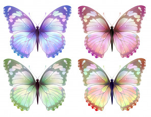 обоя векторная графика, бабочки