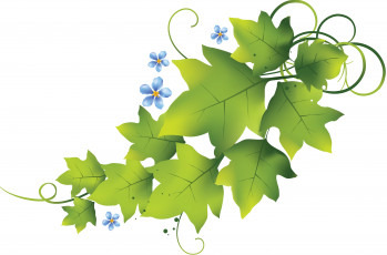Картинка векторная+графика природа цветы листья