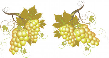 обоя векторная графика, еда, листья, лоза, виноград