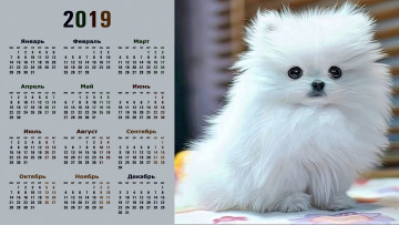 Картинка календари компьютерный+дизайн взгляд собака