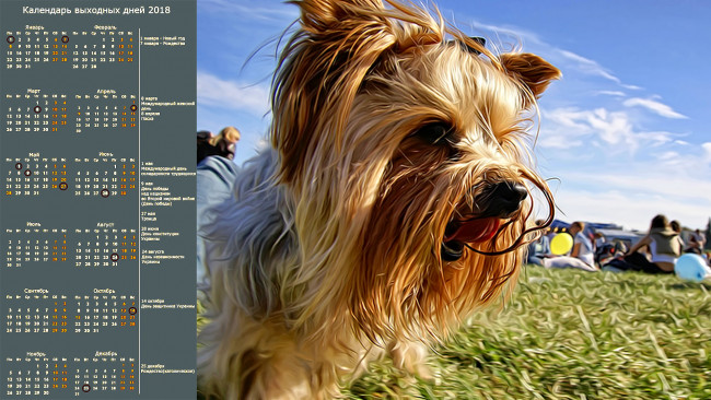 Обои картинки фото календари, компьютерный дизайн, профиль, собака, взгляд, морда