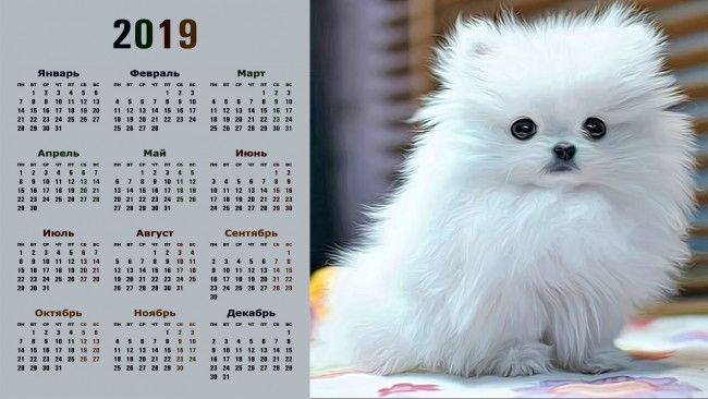 Обои картинки фото календари, компьютерный дизайн, взгляд, собака