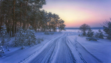 Картинка природа дороги снег лес дорога
