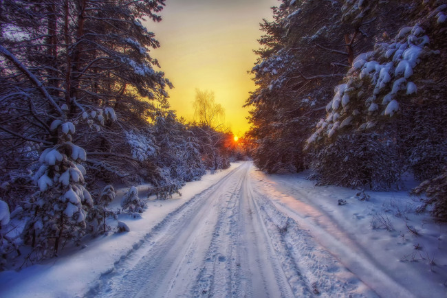 Обои картинки фото природа, дороги, снег, лес, дорога